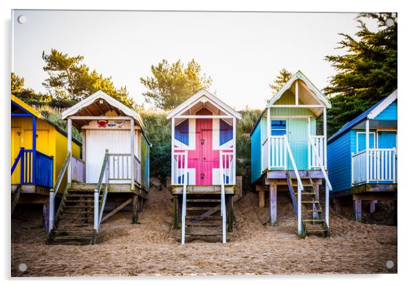 Colouful Beach Huts Acrylic by Adam Payne