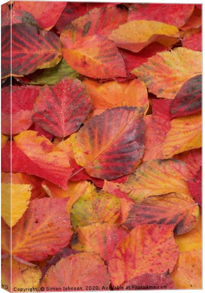 Autumn Leaf Collage Canvas Print by Simon Johnson