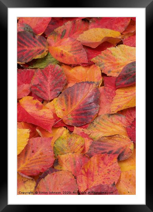 Autumn Leaf Collage Framed Mounted Print by Simon Johnson