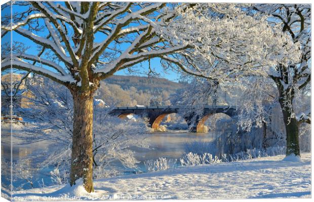 Winter in Perth, Scotland Canvas Print by Navin Mistry