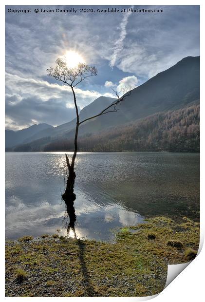 The Buttermere tree Print by Jason Connolly