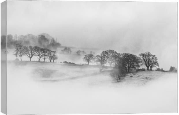 Winter mist Canvas Print by David Wall
