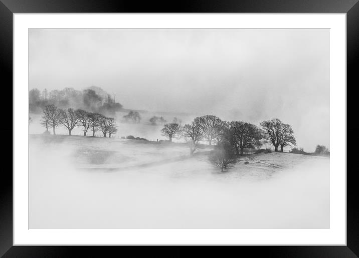 Winter mist Framed Mounted Print by David Wall