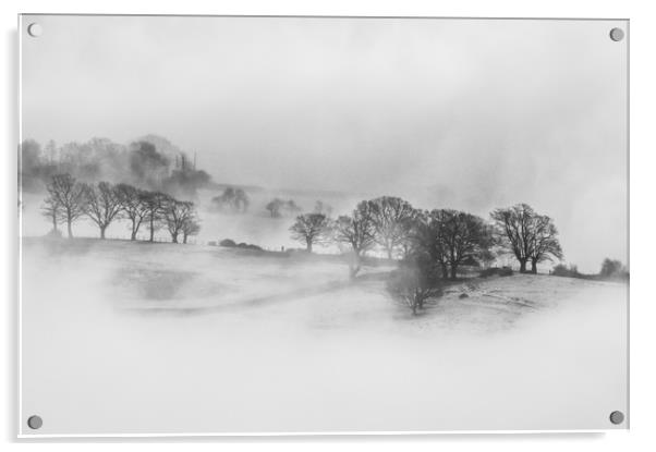 Winter mist Acrylic by David Wall