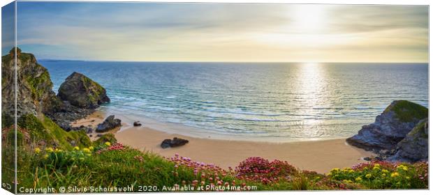 cornish spring Canvas Print by Silvio Schoisswohl