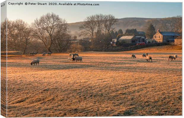 Horton in Ribblesdale Canvas Print by Peter Stuart