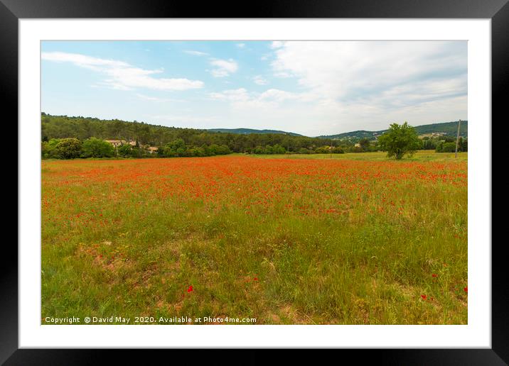 Poppy Fields Provence early summer. Framed Mounted Print by David May