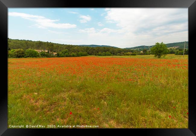 Poppy Fields Provence early summer. Framed Print by David May