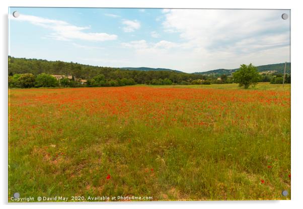 Poppy Fields Provence early summer. Acrylic by David May