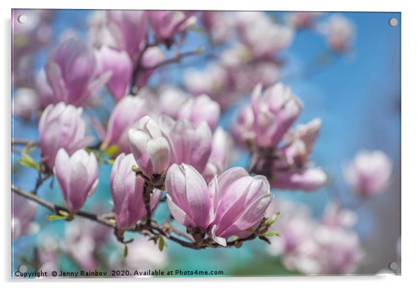 Blooms of Chinese Magnolia Acrylic by Jenny Rainbow