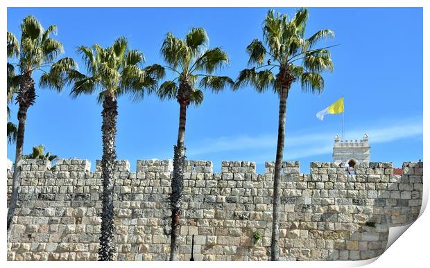 The Old City walls is square and big walled area w Print by M. J. Photography