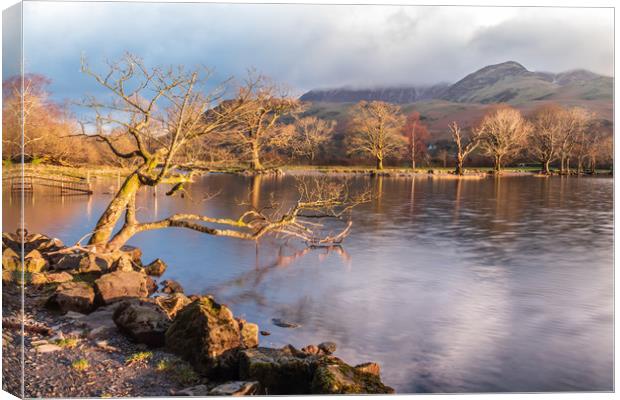 Buttermere sunlight Canvas Print by Marcia Reay