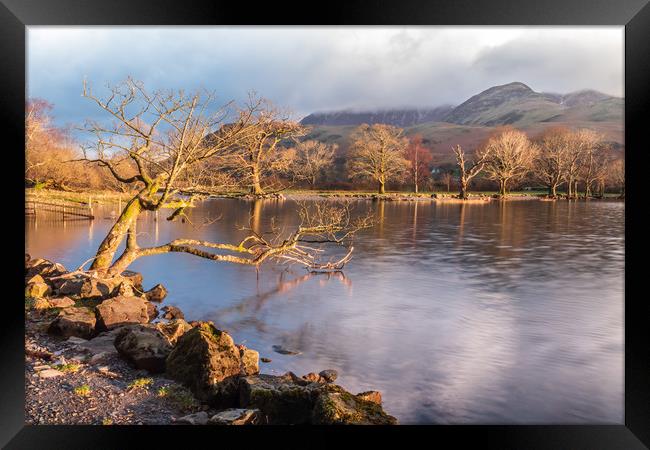 Buttermere sunlight Framed Print by Marcia Reay