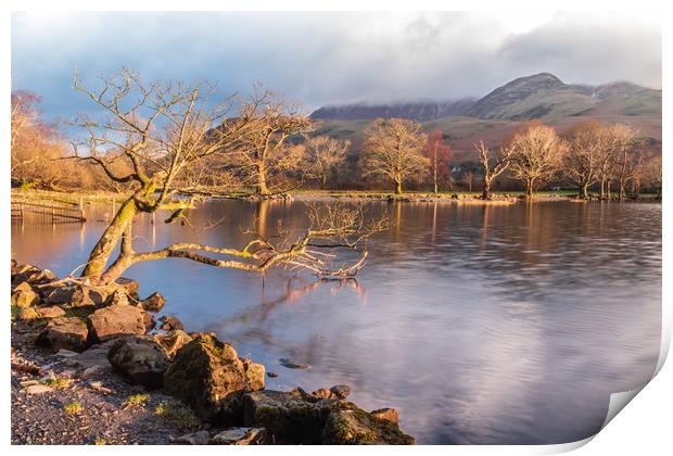 Buttermere sunlight Print by Marcia Reay