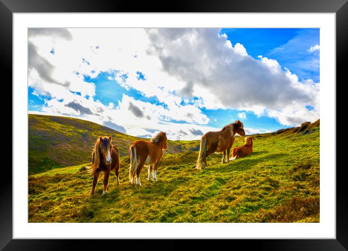 Wild Horses Framed Mounted Print by Scott Paul