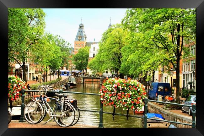 Flowers of Amsterdam and Festival of Light Framed Print by M. J. Photography