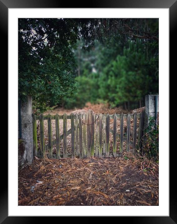Gate to the old garden Framed Mounted Print by Larisa Siverina
