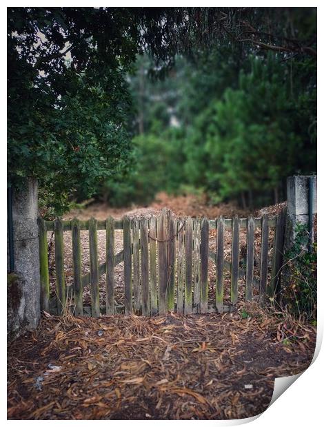 Gate to the old garden Print by Larisa Siverina