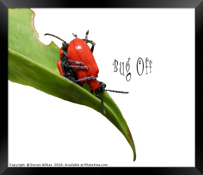 Bug off Framed Print by Darren Wilkes