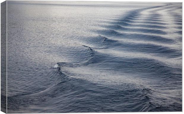 Water waves on Loch Ness  Canvas Print by Alexey Rezvykh