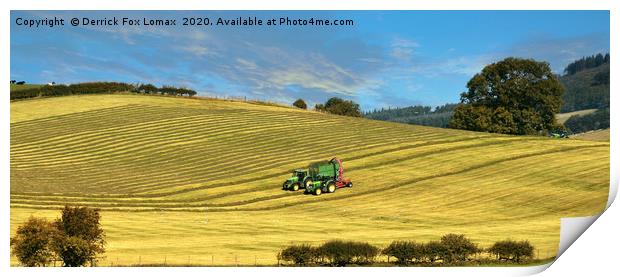 Skipton farming yorkshire Print by Derrick Fox Lomax