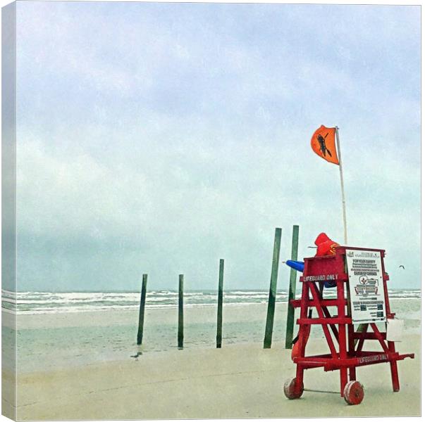 day at the beach Canvas Print by dale rys (LP)