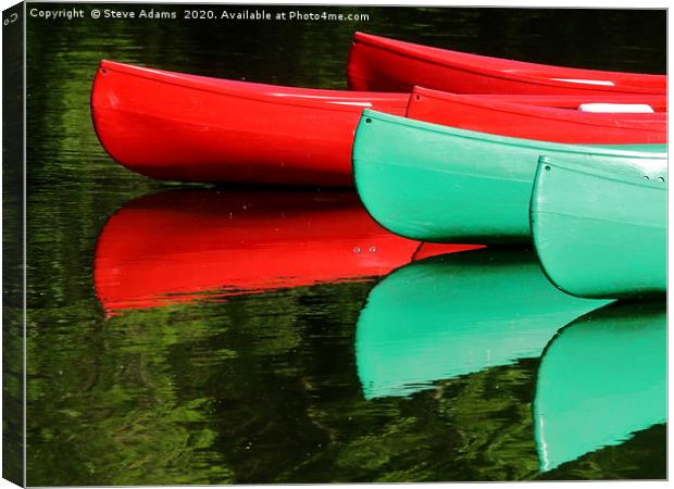 Red & Green Canvas Print by Steve Adams