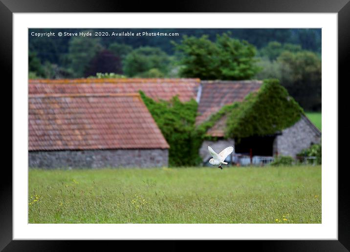 A Barn Owl Hunting Framed Mounted Print by Steve Hyde