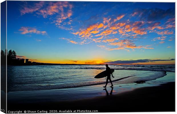 Coolangatta Surfer Sunset Canvas Print by Shaun Carling