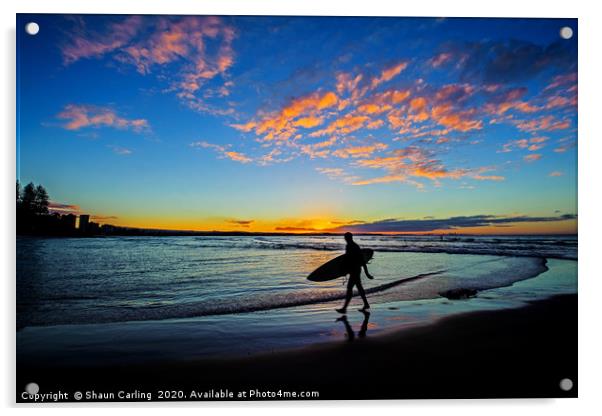 Coolangatta Surfer Sunset Acrylic by Shaun Carling