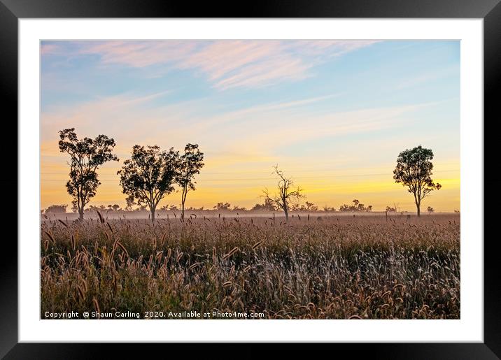 Misty Roma Grasslands Framed Mounted Print by Shaun Carling