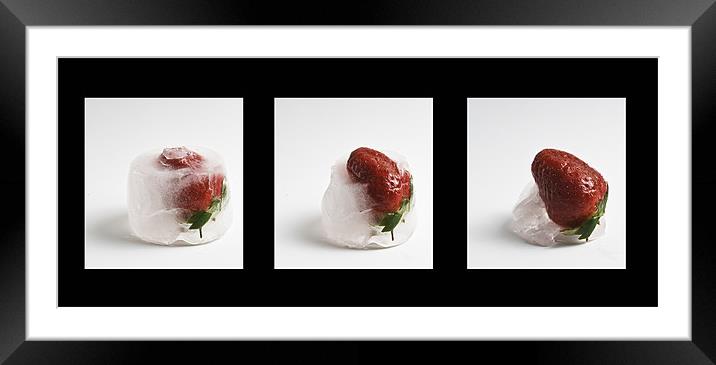 Frozen Strawberry Framed Mounted Print by Pam Martin