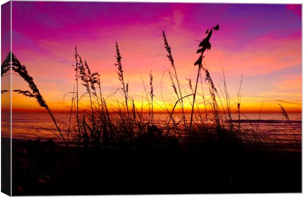 Sunsetting, Turtle Beach Canvas Print by Tony Williams. Photography email tony-williams53@sky.com