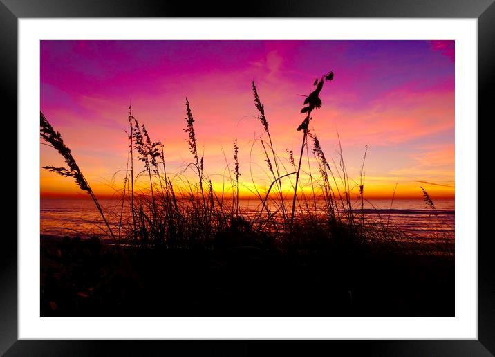 Sunsetting, Turtle Beach Framed Mounted Print by Tony Williams. Photography email tony-williams53@sky.com