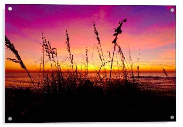 Sunsetting, Turtle Beach Acrylic by Tony Williams. Photography email tony-williams53@sky.com