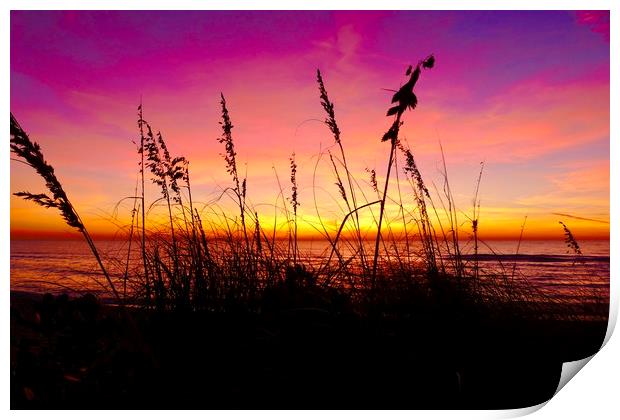 Sunsetting, Turtle Beach Print by Tony Williams. Photography email tony-williams53@sky.com