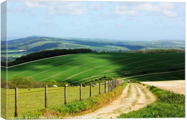 A view of the south downs national park Canvas Print by Paul Clifton