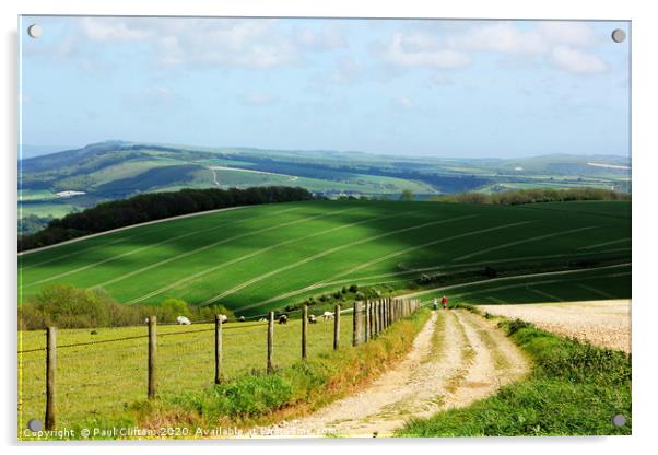 A view of the south downs national park Acrylic by Paul Clifton