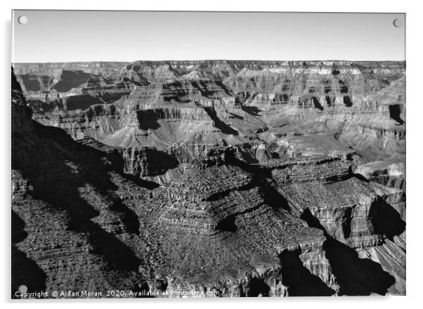 Grand Canyon View  Acrylic by Aidan Moran