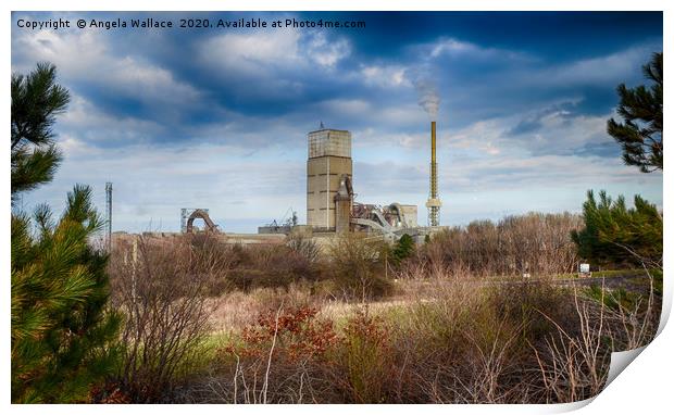 Cement Plant Dunbar Print by Angela Wallace