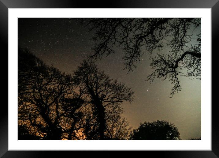 Night Sky Through Trees Framed Mounted Print by Dave Bell