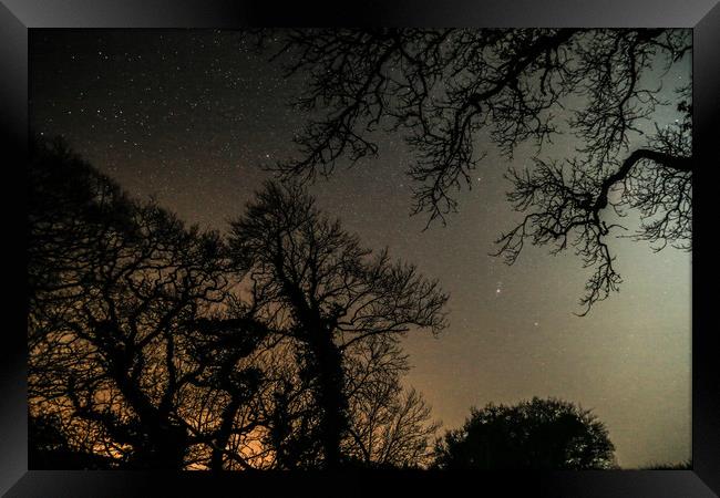 Night Sky Through Trees Framed Print by Dave Bell