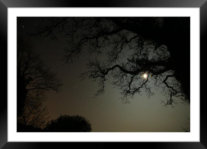 MOONLIGHT Framed Mounted Print by Dave Bell