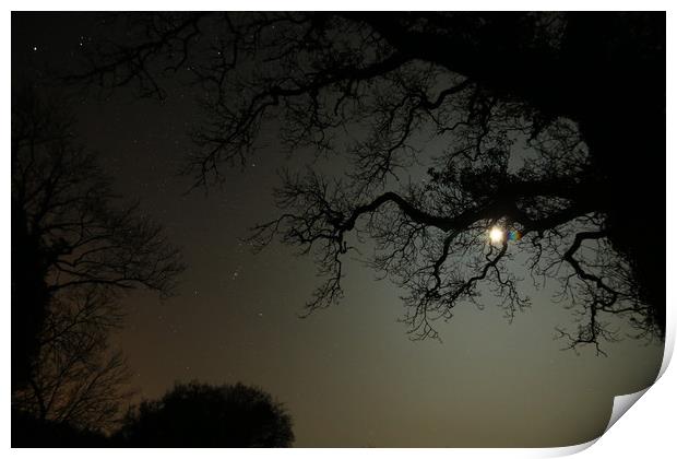 MOONLIGHT Print by Dave Bell