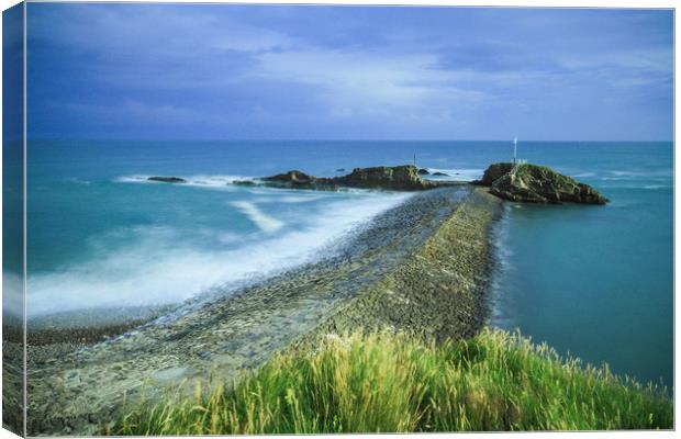 Bude Breakwater Canvas Print by Dave Bell