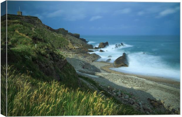 Wild North Cornwall by Dave Bell Canvas Print by Dave Bell
