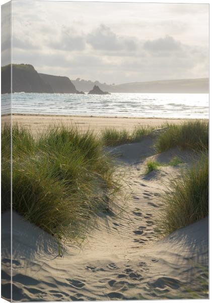 Soft sunlight at Newport Sands, Pembrokeshire Canvas Print by Andrew Kearton