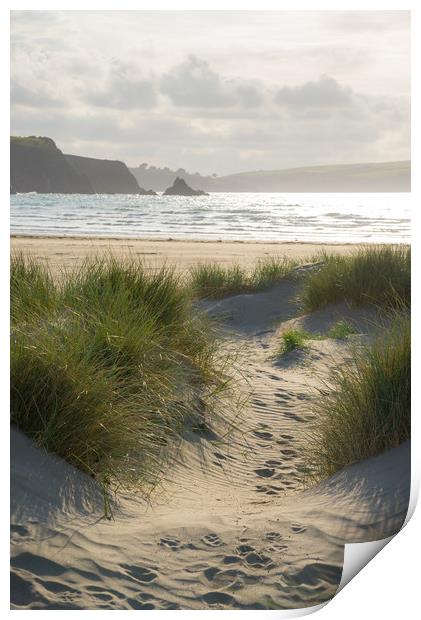 Soft sunlight at Newport Sands, Pembrokeshire Print by Andrew Kearton
