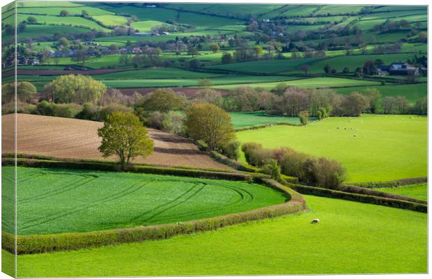 Shropshire countryside in spring Canvas Print by Andrew Kearton
