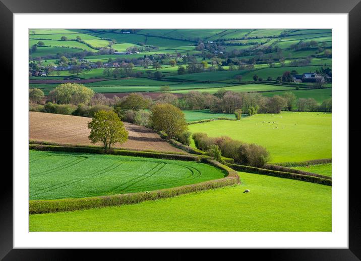 Shropshire countryside in spring Framed Mounted Print by Andrew Kearton